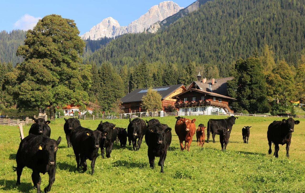 Hotel Laerchenhof Ramsau am Dachstein Exteriér fotografie